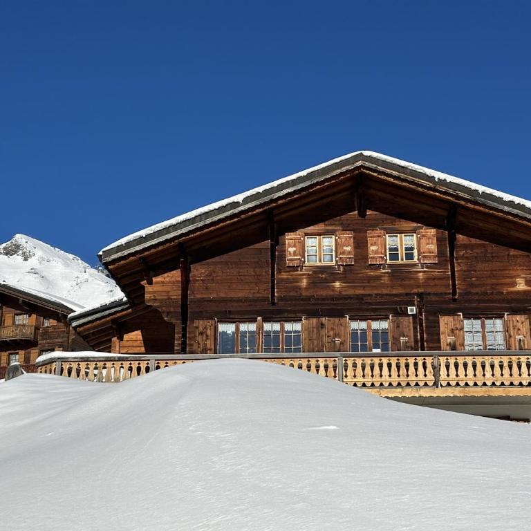 Le Pacheu - Chalet - 52