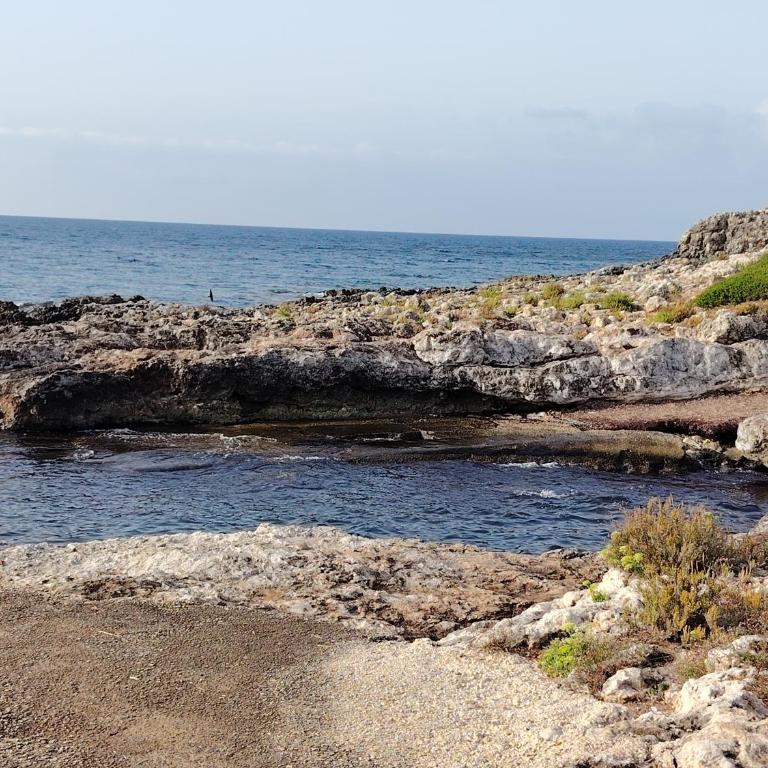 La Casetta di Camelia - Appartamento con 2 Camere da Letto - 52