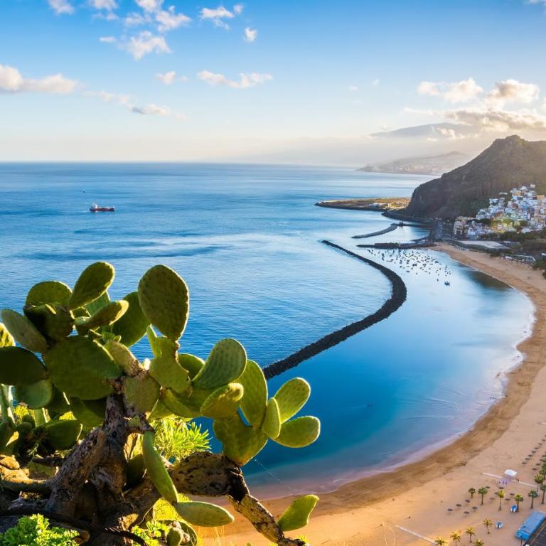 Eden Rentals Balcón del Mar - Apartamento de 1 dormitorio - 41