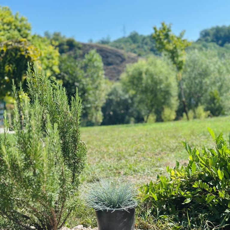 Dabar kuca za odmor - Kuća sa 2 Spavaće Sobe - 15