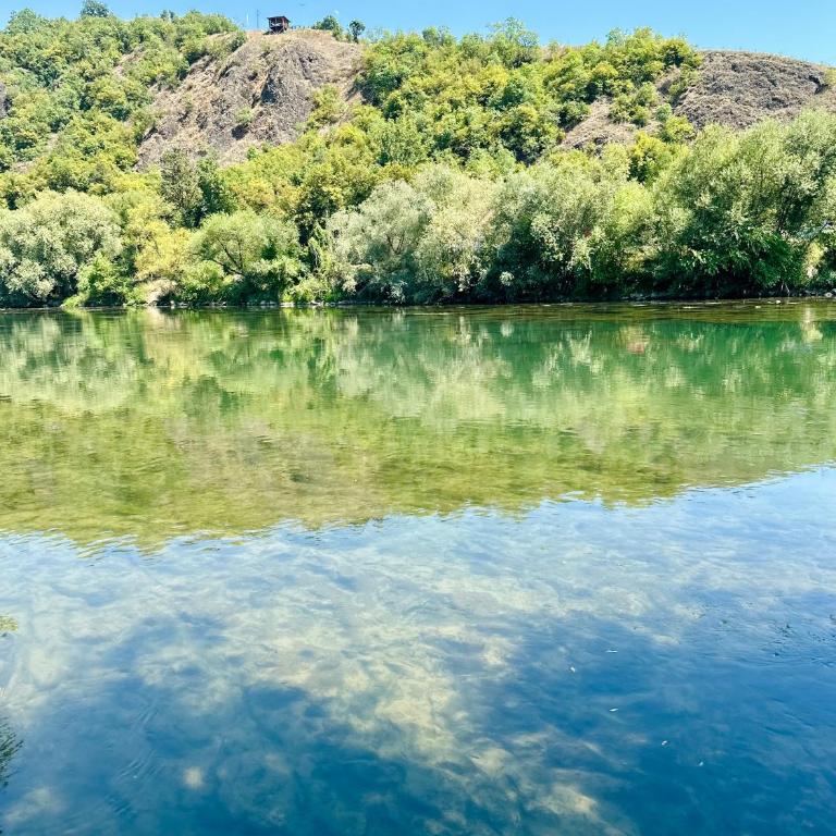 Dabar kuca za odmor - Kuća sa 2 Spavaće Sobe - 19