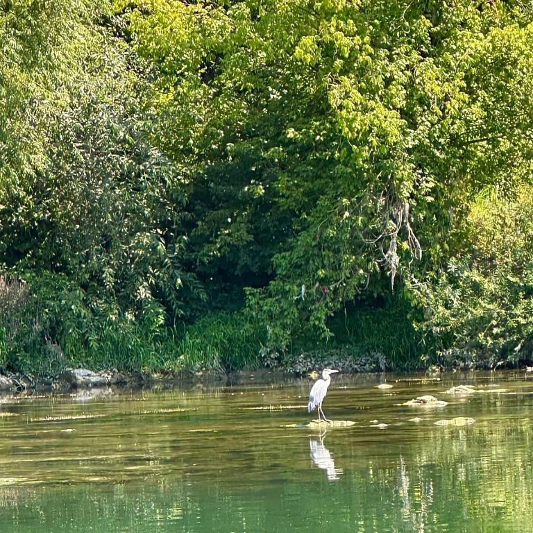 Dabar kuca za odmor - Kuća sa 2 Spavaće Sobe - 26