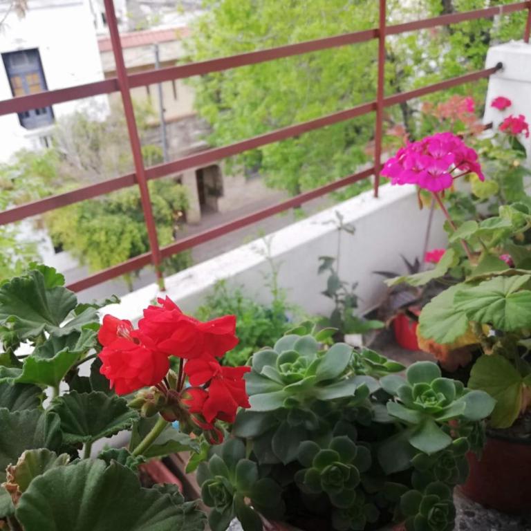 Chacabuco Rest - Habitación Doble - 4