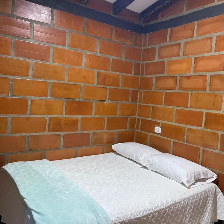 Aloha Campestre - Apartamento de 3 dormitorios - 3
