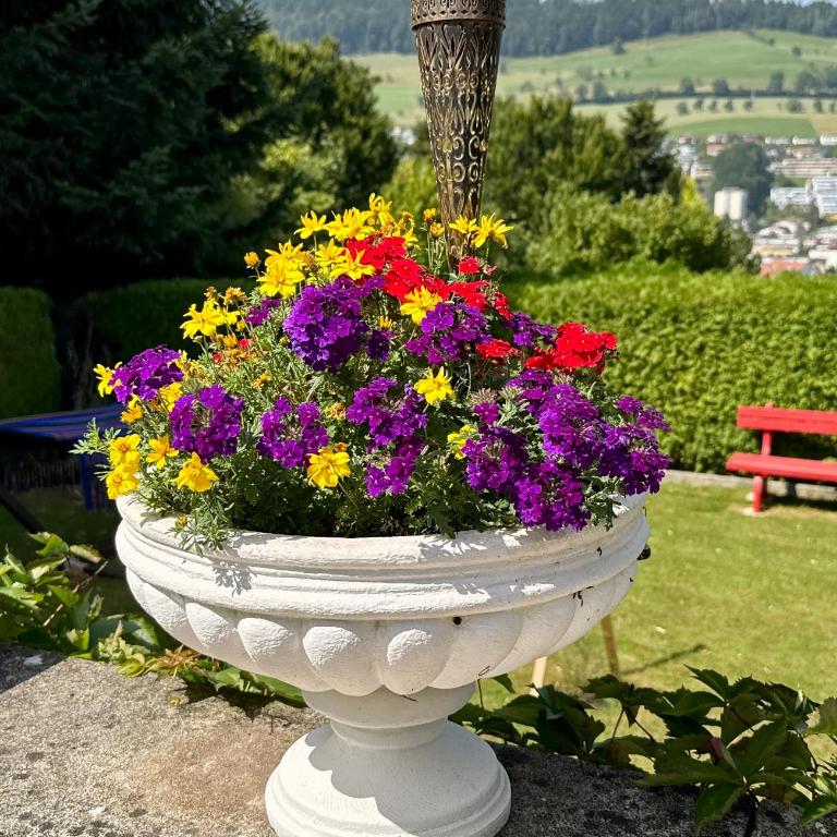 Chlösterli - Doppelzimmer mit Gartenblick - 12