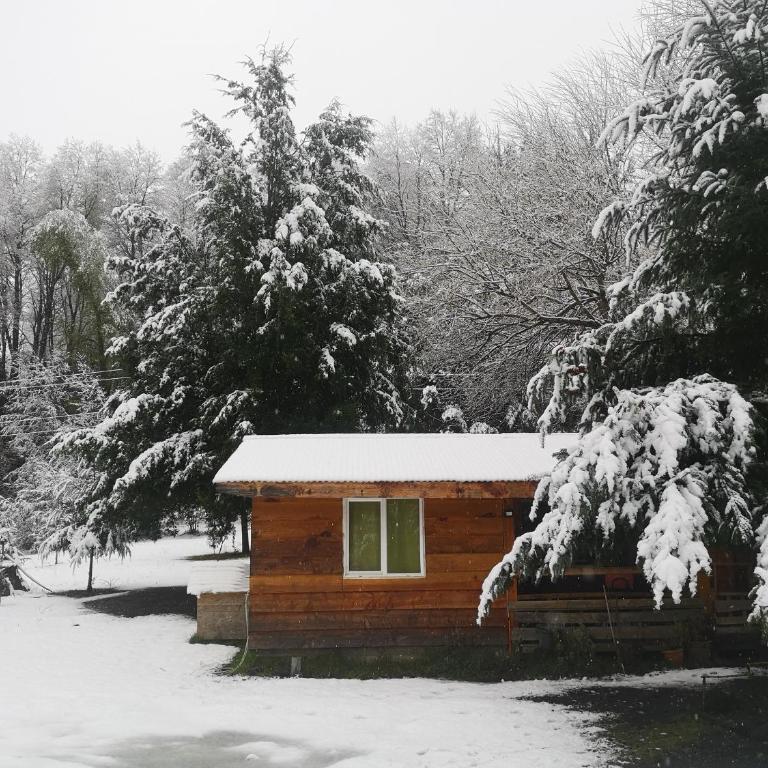 Cabaña May Pao, para 3 en Melipeuco cerca del Parque Nacional Conguillio - Apartamento de 1 dormitorio - 2