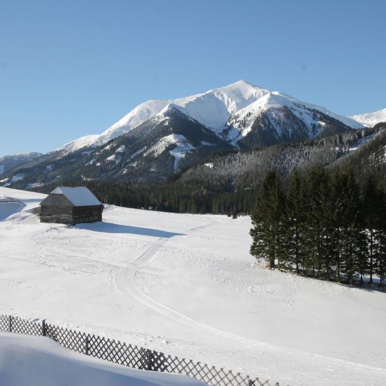 Chalet Hohentauern am Skilift - Chalet Supérieur - 28
