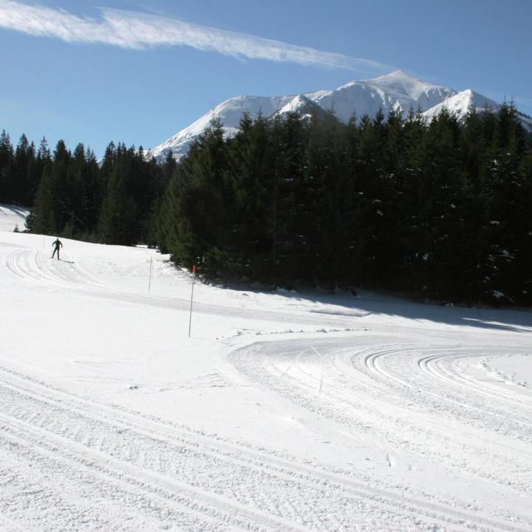 Chalet Hohentauern am Skilift - Chalet Supérieur - 30