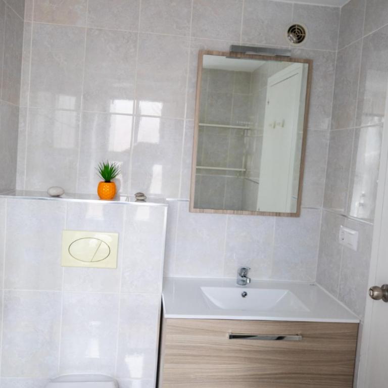Sunflower - One-Bedroom Apartment - 22