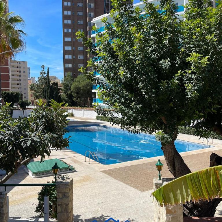 Sunflower - One-Bedroom Apartment - 27