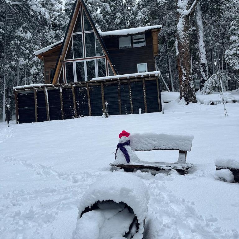 The forest house - Casa de 4 dormitorios - 14