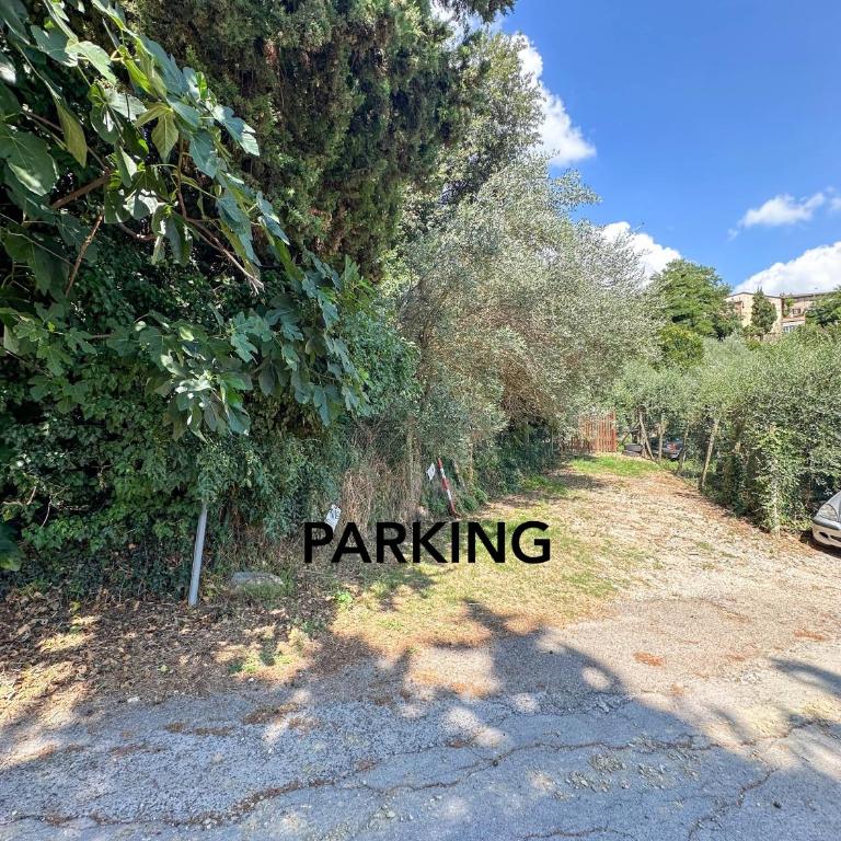 Casa Carlotta - Appartamento a San Gimignano - One-Bedroom Apartment - 18