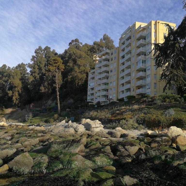 Departamento frente al mar, con piscinas y vista panorámica - Two-Bedroom Apartment - 16