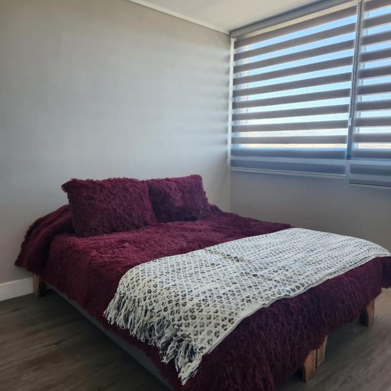 Moderno departamento en Coquimbo - One-Bedroom Apartment - 3