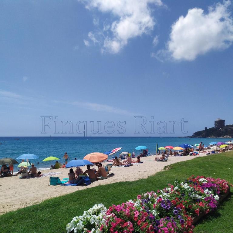 Apartaments CarmAnto - Sant Antoni de Calonge - Apartamento de 2 dormitorios - 9