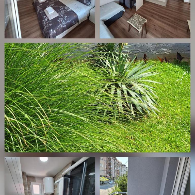 Soko apartments - Apartman sa 1 Spavaćom Sobom - 3