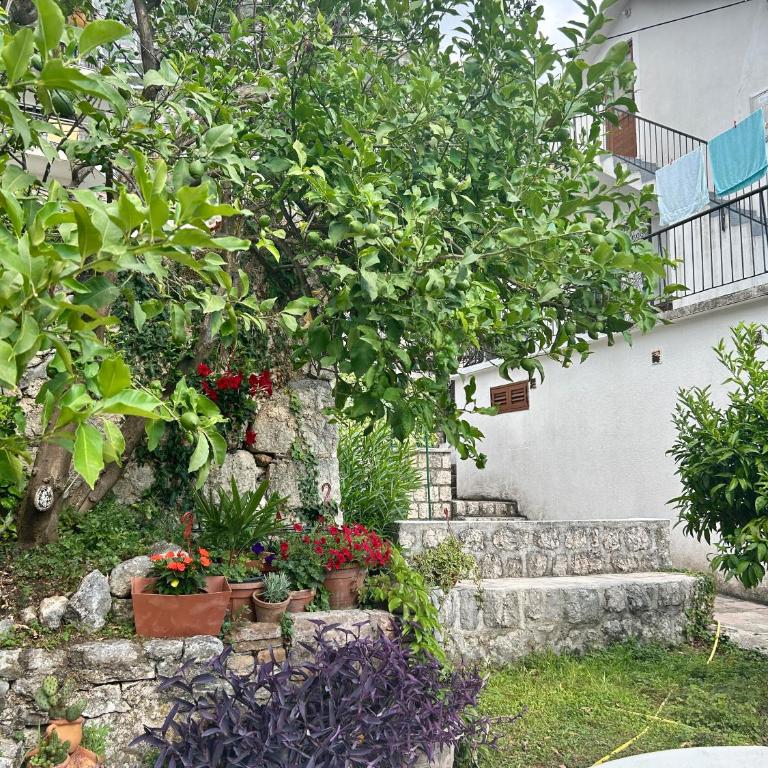 Mansarda apartment - One-Bedroom Apartment - 3