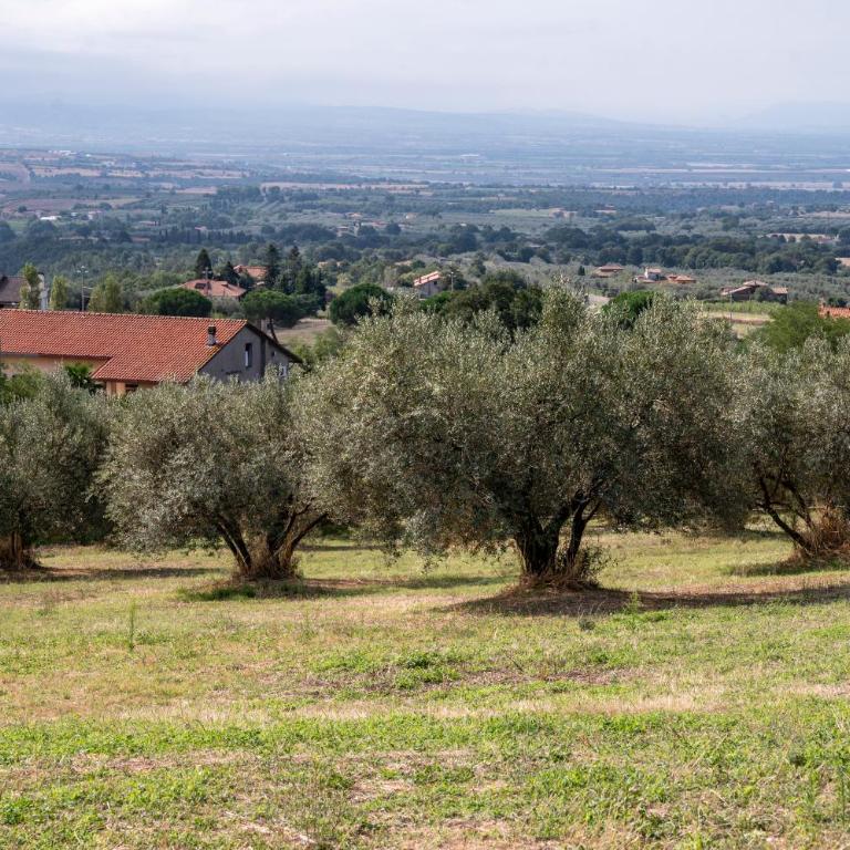 La Tuscia da Quassù - Appartamento con 1 Camera da Letto - 10