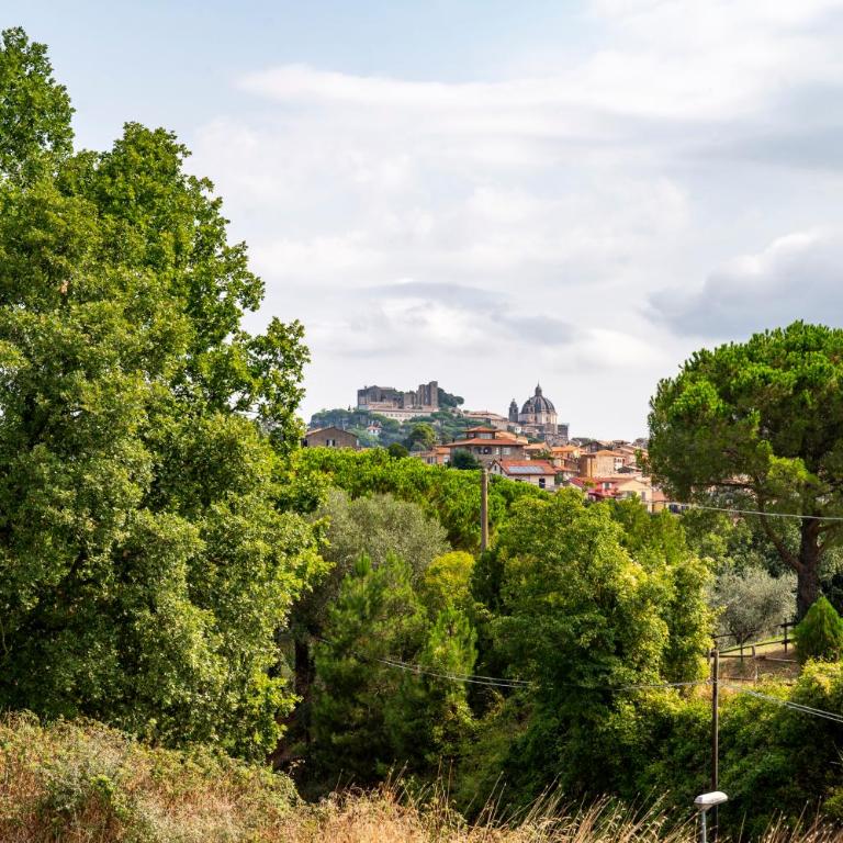La Tuscia da Quassù - Appartamento con 1 Camera da Letto - 3
