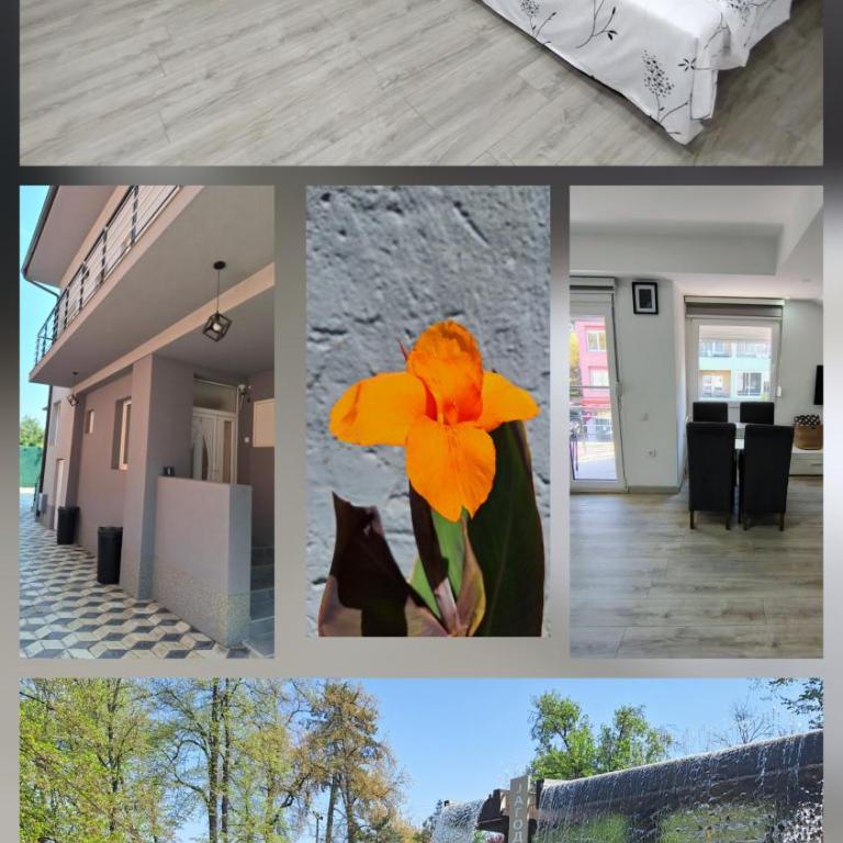 Soko apartments - Standardni Trokrevetni Studio - 14
