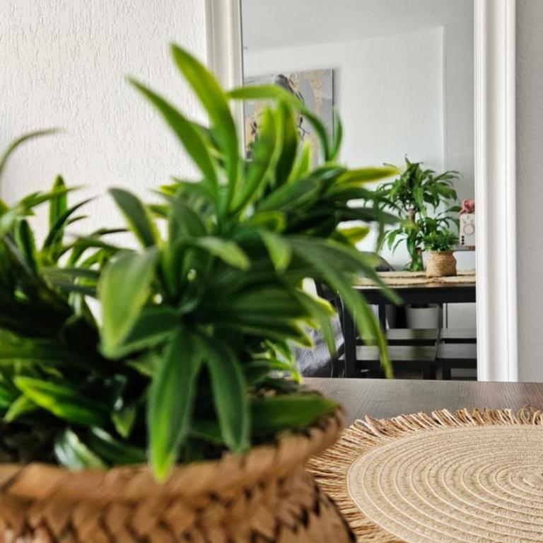 Atlantico Flamingo - One-Bedroom Apartment - 16