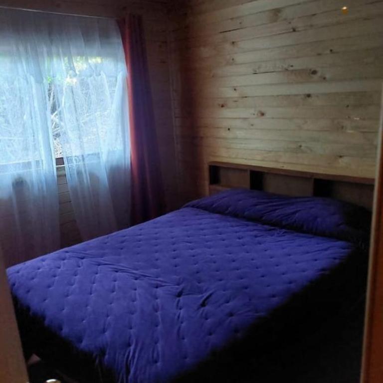 Cabañas Oasis 2, Radal 7 tazas - Casa de 2 dormitorios - 5