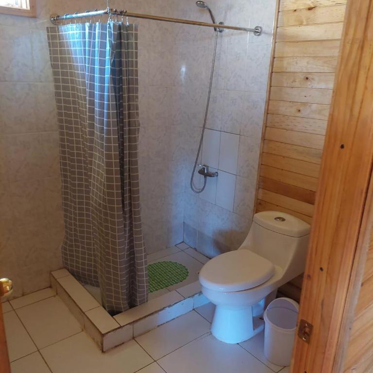 Cabañas Oasis 2, Radal 7 tazas - Casa de 2 dormitorios - 6