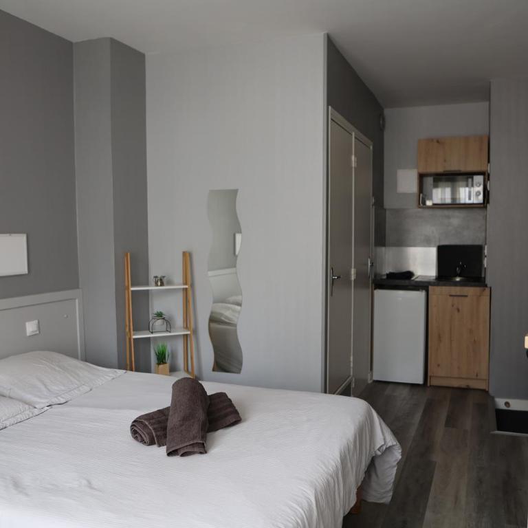 Studio proche du centre ville - Studio Jacques Cœur - Appartement 1 Chambre - 4