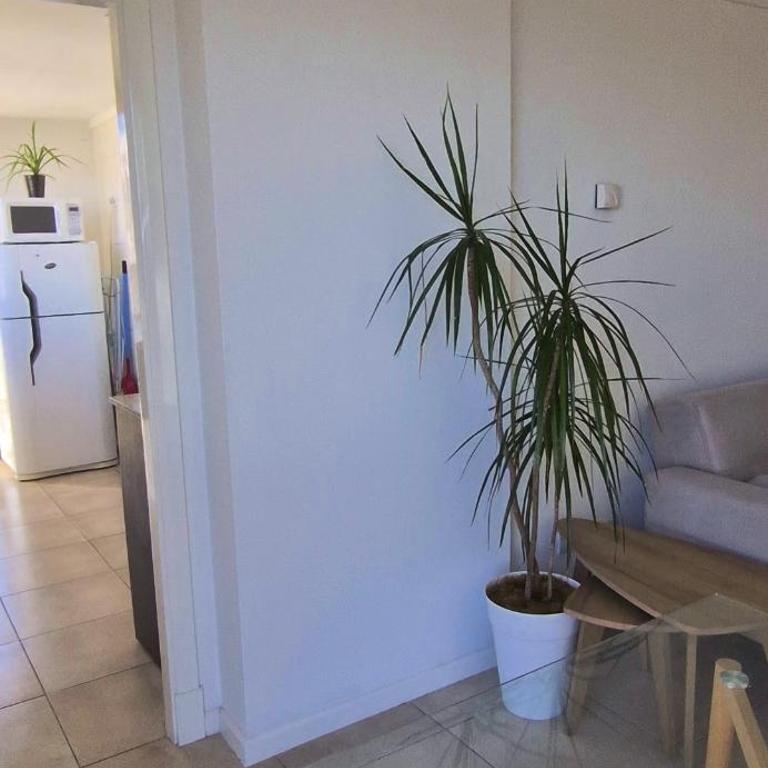 FRENTE AL MAR, La Perla - One-Bedroom Apartment - 10