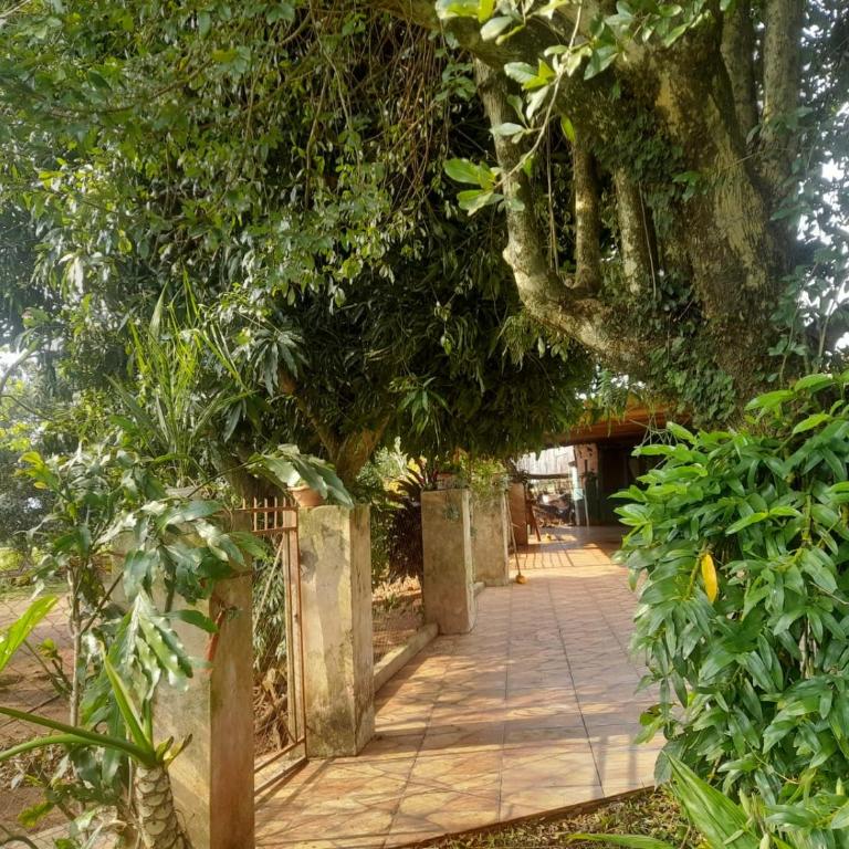 Alojamiento Alborada - Two-Bedroom House - 5