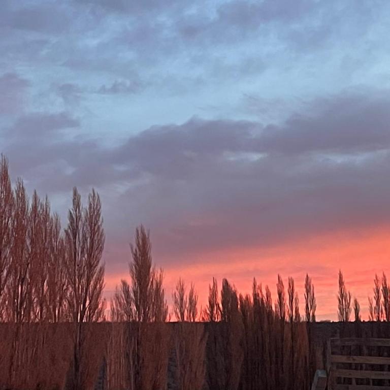 Carli Añelo - Apartamento de 2 dormitorios - 7