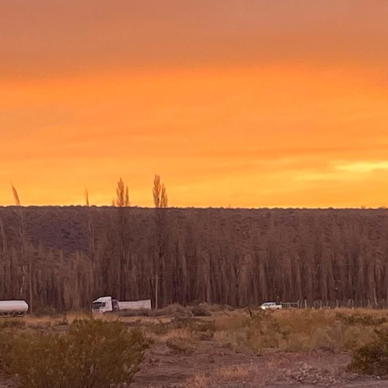 Carli Añelo - Apartamento de 2 dormitorios - 2