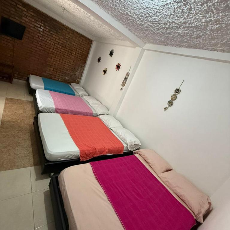 Hospedaje del Cafe Salento - Quadruple Room - 2