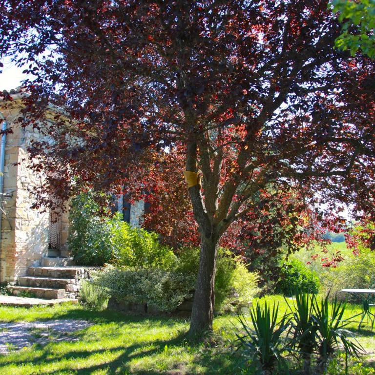 Gites Chameyer - Appartement avec Vue sur la Montagne - 2