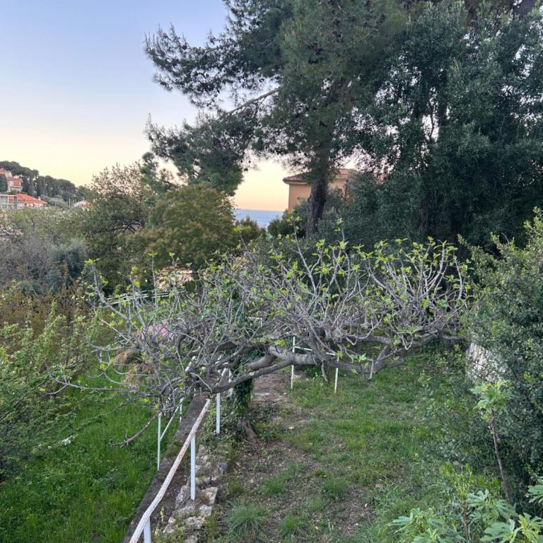 Villa dei Pini Andora - Villa con Vista Mare - 60