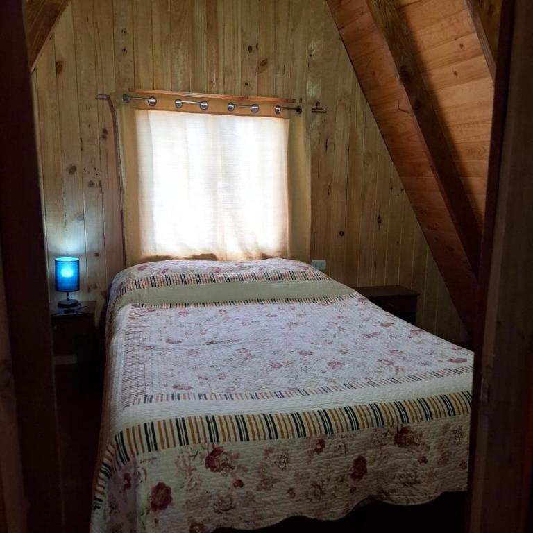 Cabañas con Tinaja en Choshuenco - Two-Bedroom Apartment - 18