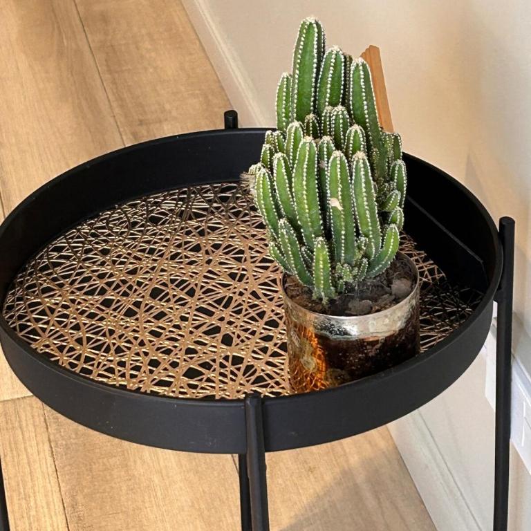 Chic II Studio in the middle of Palermo Soho - Queen Studio - 10