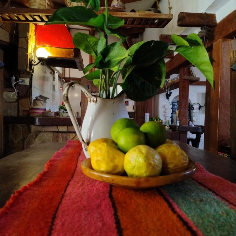Casa Alquimia La Cabaña - Vacation Home - 9