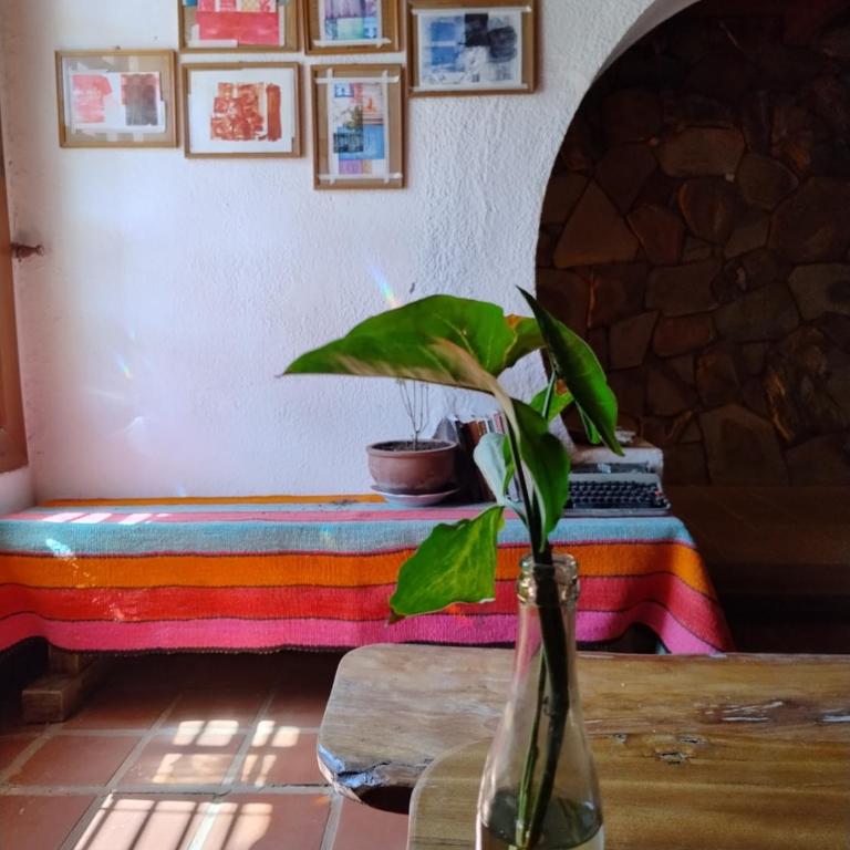 Casa Alquimia La Cabaña - Vacation Home - 18
