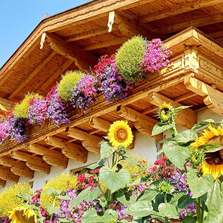 Holiday on an organic farm near ski slopes - Appartement 2 Chambres - 24
