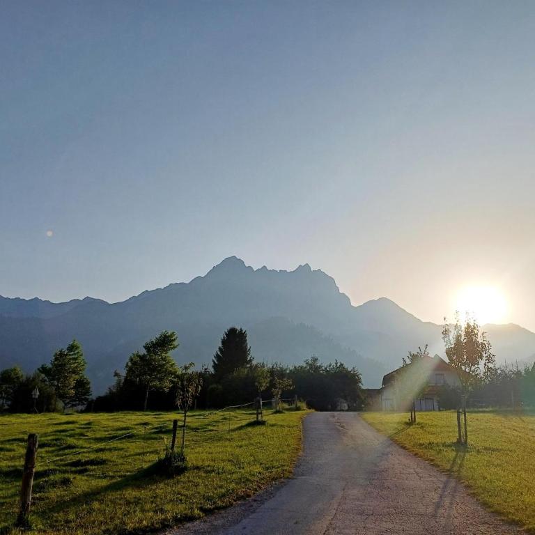 Holiday on an organic farm near ski slopes - Appartement 2 Chambres - 25