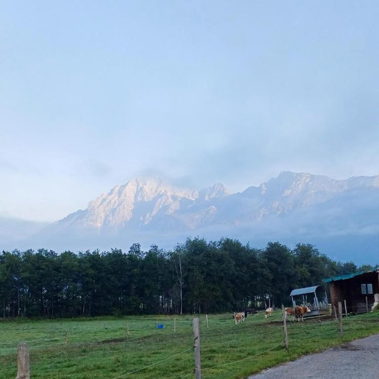 Holiday on an organic farm near ski slopes - Appartement 2 Chambres - 26