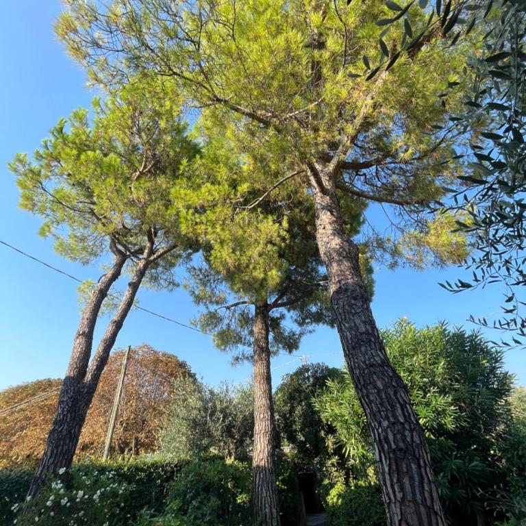 Appartamenti Garda Mulino - Appartamento con 2 Camere da Letto - 34