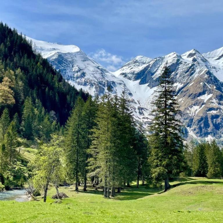 Chalet Maria Alm by Ski Slopes & Views - Chalet mit 2 Schlafzimmern - 27