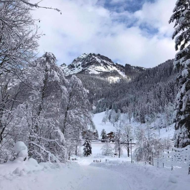 Chalet Maria Alm by Ski Slopes & Views - Chalet mit 2 Schlafzimmern - 33