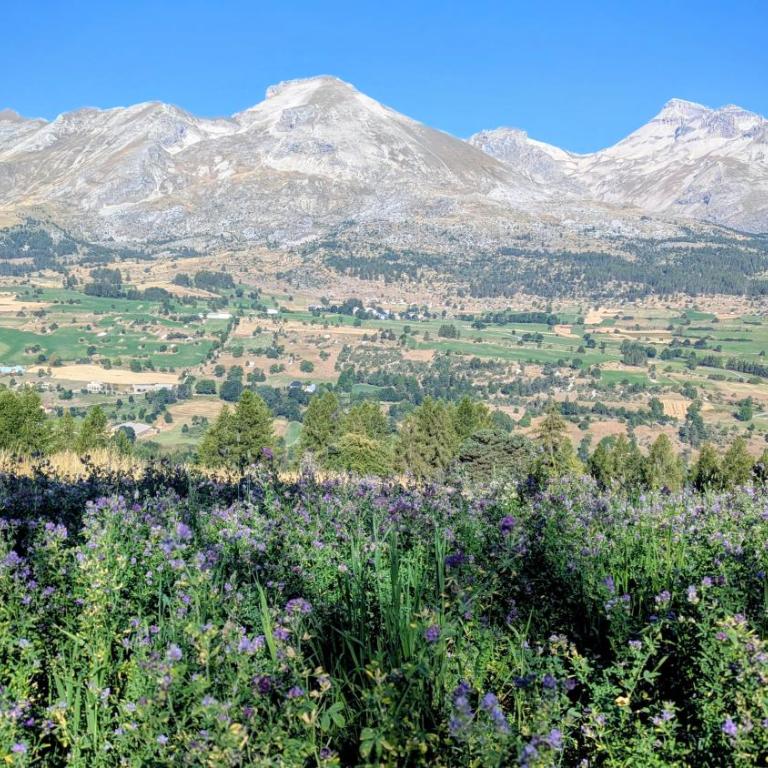 les Rochers Blancs 1 aux pieds des pistes LA JOUE DU LOUP - One-Bedroom Apartment - 20