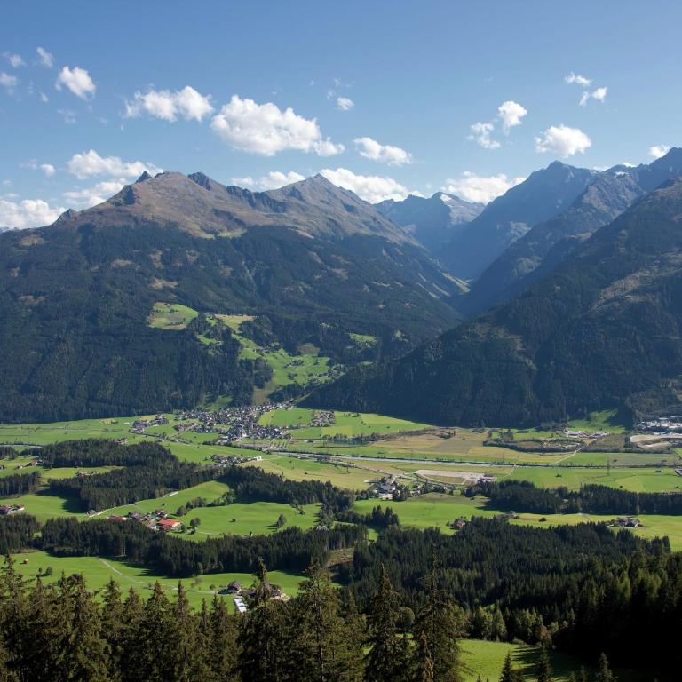 Dream apartment in the Kitzbühler Alps ski area - Apartment mit 3 Schlafzimmern - 32