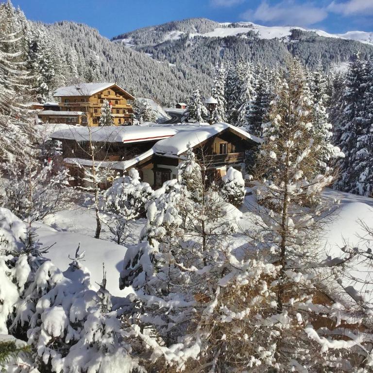 Dream apartment in the Kitzbühler Alps ski area - Apartment mit 3 Schlafzimmern - 34