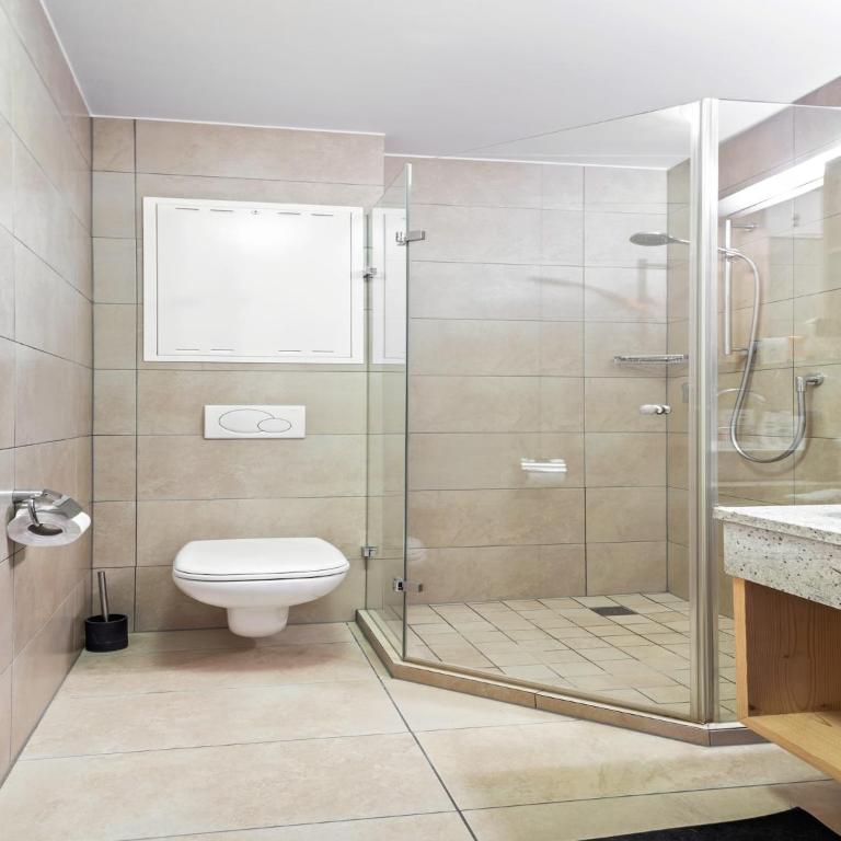 Dream apartment in the Kitzbühler Alps ski area - Apartment mit 3 Schlafzimmern - 19