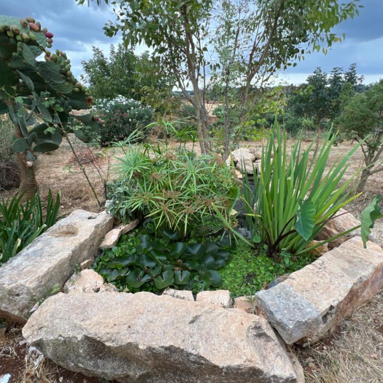 Trullo Incanto - Appartamento con 1 Camera da Letto - 18